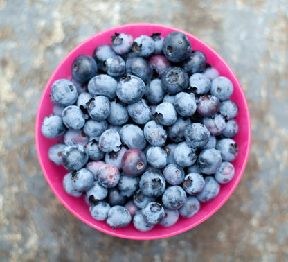 Blueberry
