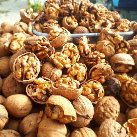 Walnut